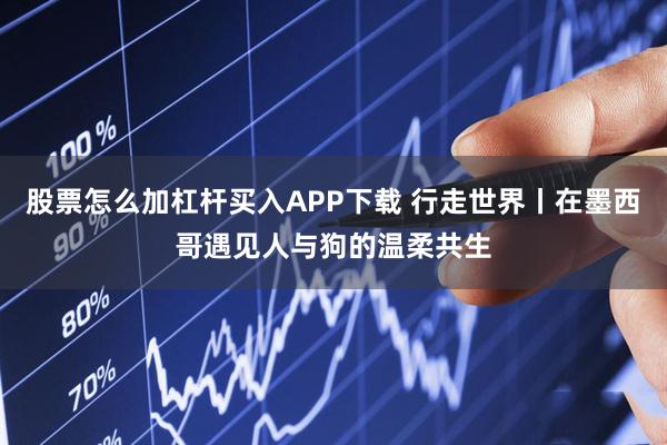 股票怎么加杠杆买入APP下载 行走世界丨在墨西哥遇见人与狗的温柔共生